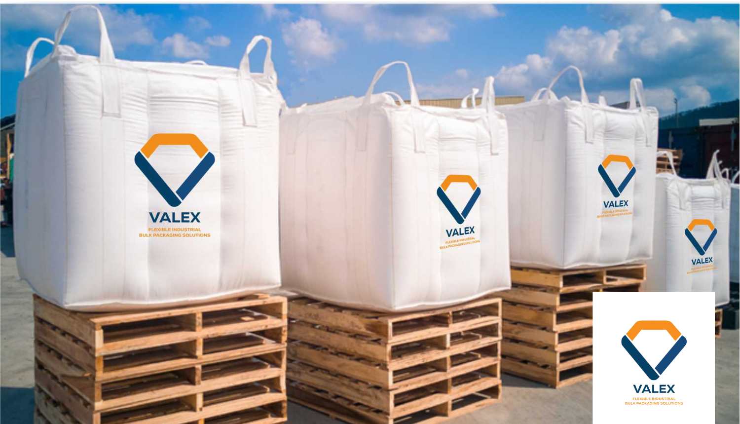 The Business Potential of Sustainable Packaging: Why Invest Now?