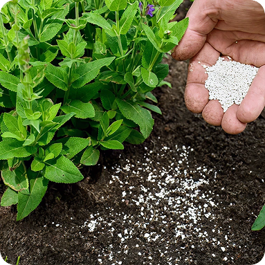 Fertilizers